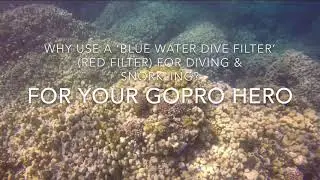 Red dive filter comparison GoPro