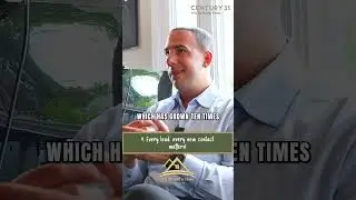 Real Estate 101 with Kyle Seyboth: Every Lead Matters
