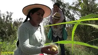 Con 2 años de casado , querían volver a cuando eran novios eran muy felices