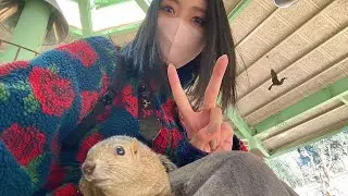 「ひとりだけサイズ感おかしい&hellip;😳183cm&ldquo;デカ女&rdquo;のドレス姿が美しすぎた」#高梨眞希#高身長女子#デカ女#インフルエンサー#話題の美女#自己肯定感#ドレス姿#SNSで話題