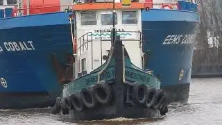 Zelfs De Paparazzi Duikt Op Vanuit Het Riet Om Deze Opvallende Vracht Vast Te leggen* - #3542NL