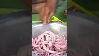 Delicious snake food