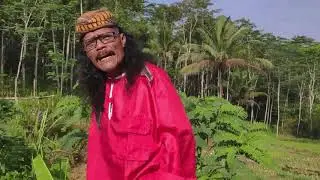 KACU KUNING - YOYOK GBN