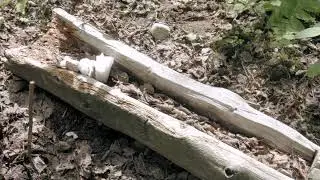 Augmenter ses chances d'attirer l'orignal avec Lyne Bélanger - Avancé