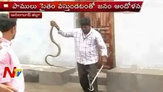 Adilabad People faces Fear of Snakes and Heavy Rains