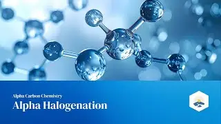 31. Alpha Halogenation