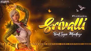 Srivalli : Pushpa x best edit Pubg beat Sync Montage | bollywood song pubg montage