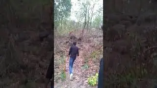 Going to Biharinath Hill | mini vlog - 6