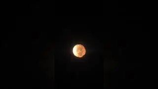 Zooming In on a Red Hypergiant Star