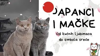 Za&scaron;to Japanci obožavaju mačke? Tajna Maneki-neko figure