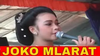 TAYUB JOKO MLARAT-KARANGKATES-BANDUL KONCI TAYUB TEROB NGESTHI BUDAYA
