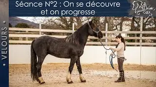 • VELOURS • Séance N°2 : On se découvre et on progresse
