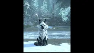 Running around on the Frozen forest Map for WCUE