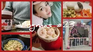 Vlogmas #23 ricas calabacitas fácil de hacer+un nacimiento grande+ fuimos al mercado 