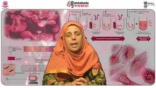 Application of AAS in analysis of heavy metals in water