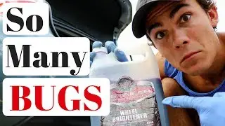 Bug Removal From Car Paint: Meguiars Wheel Brightener
