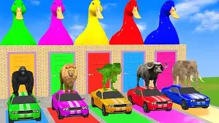 Long Slide Game with Cow Elephant Gorilla Hippopotamus Tiger 3d Animal Game Funny 3d Animals