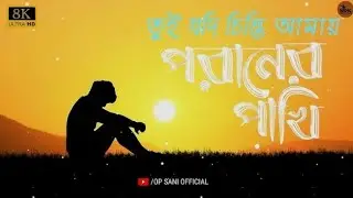 Tui jodi chinti amay তুই যদি চিনতি আমায় পরানের পাখি।