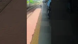 Monkey waiting for train at dadar station