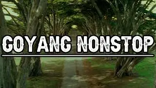 Goyang NONSTOP#pocopoco