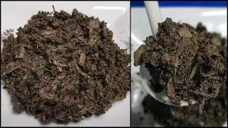 কালোজিরা ভর্তা | Kalijira Vorta Recipe |  কালিজিরা | Kalojira Bhorta