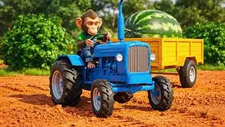 Through Earth&rsquo;s Fury to Juicy Bliss: Monkey Nina&rsquo;s Tractor Tale of Courage and Watermelon Joy