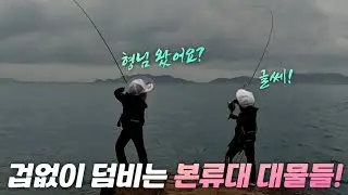 추자도 본류 초장타낚시에 대물들이 달려듭니다! (ft. 겨울철 필수 아이템 소개)