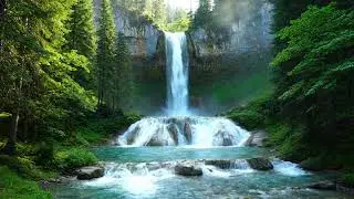 Идеальные звуки для сна 💧 Многоярусный водопад в лесу