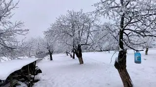 Weather in My Village &ndash; December 2025 | 31 Days in 3 Minutes