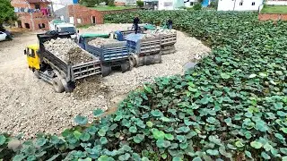 Pouring Stone Into Pond Task! Good Skill Dozer Driver With Trucks Dumping Team