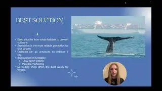 Endangered Animal Blue Whale Global Issue Presentation