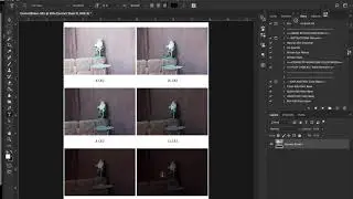 Создание контрольных листов в Adobe Bridge CC 2017