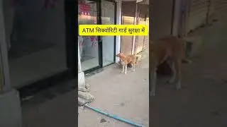 ATM सिक्योरिटी गार्ड सुरक्षा में ATM security guard in security #shorts #trending #viral