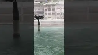 Manikaran gurudwara hot water