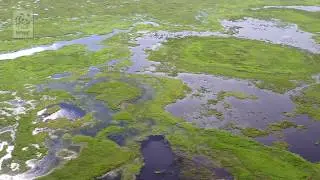 Honghe Nature Reserve. China