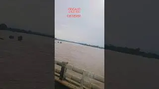 shindh Nadi #sorts #viralvideo #viralshort #nadi #nadia#rivar #shindh river #funny #song #sort#love