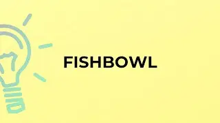 What is the meaning of the word FISHBOWL?