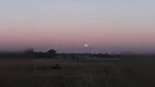(free) *no drums* ambient type beat 