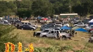 D14 in Sanger Texas Field review