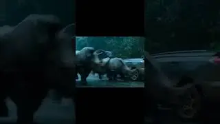 Wolfs attack 🐅🐯🐅👺🐯#viral#short#feed#trendings#shortfeed#feed#virqlshorts#dailyvideo#viralsattack#fyp