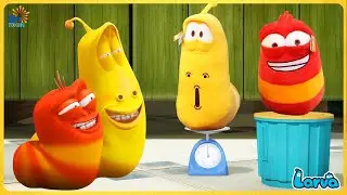 Larva Cartoons 2025🍟 Larva DoubleEyelids - Best Cartoon Movie 🥟 New Animation Movies 2022