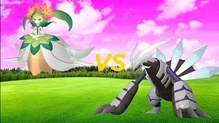 The Rare Pal Become Beast After The Training!