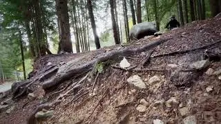 Newbie Mellow Trail-riding Whistler first impressions