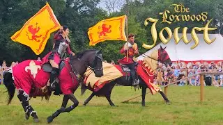 TOTAL CHAOS at Loxwood Joust 2025 - Jousting Final Rounds and 