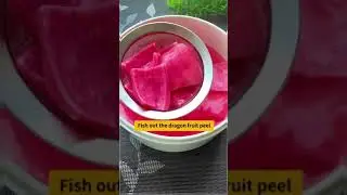 dragon fruit jelly recipe|dragon fruit|jelly fans|chocolate#dragon#jelly