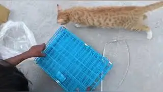 Unboxing & Review of cat cage ll 18 inch cage for pet