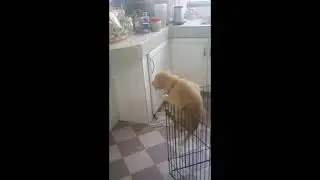Melle's escape attempt failed.