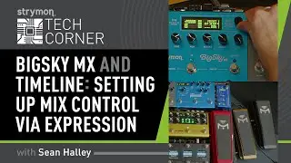 Strymon Tech Corner: Configuring Expression Pedals For BigSky MX and Timeline