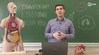 Domaća zadaća za 9. razred: Biologija - Transportna i zaštitna uloga krvi