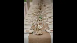 PINK DAFFODIL PROMOTIONAL VID,#1 4K